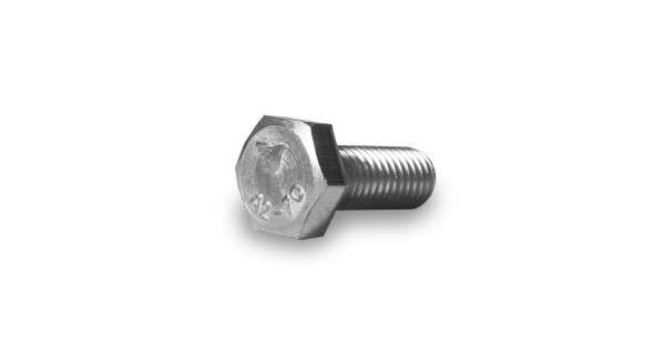 Hexagon head screw M10x25 100x