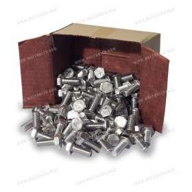 Hexagon head screw M10x25 100x