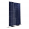 Panneau solaire TrinaSolar poly 275Wc