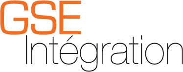 Logo GSE Intégration