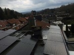 IMG_3252